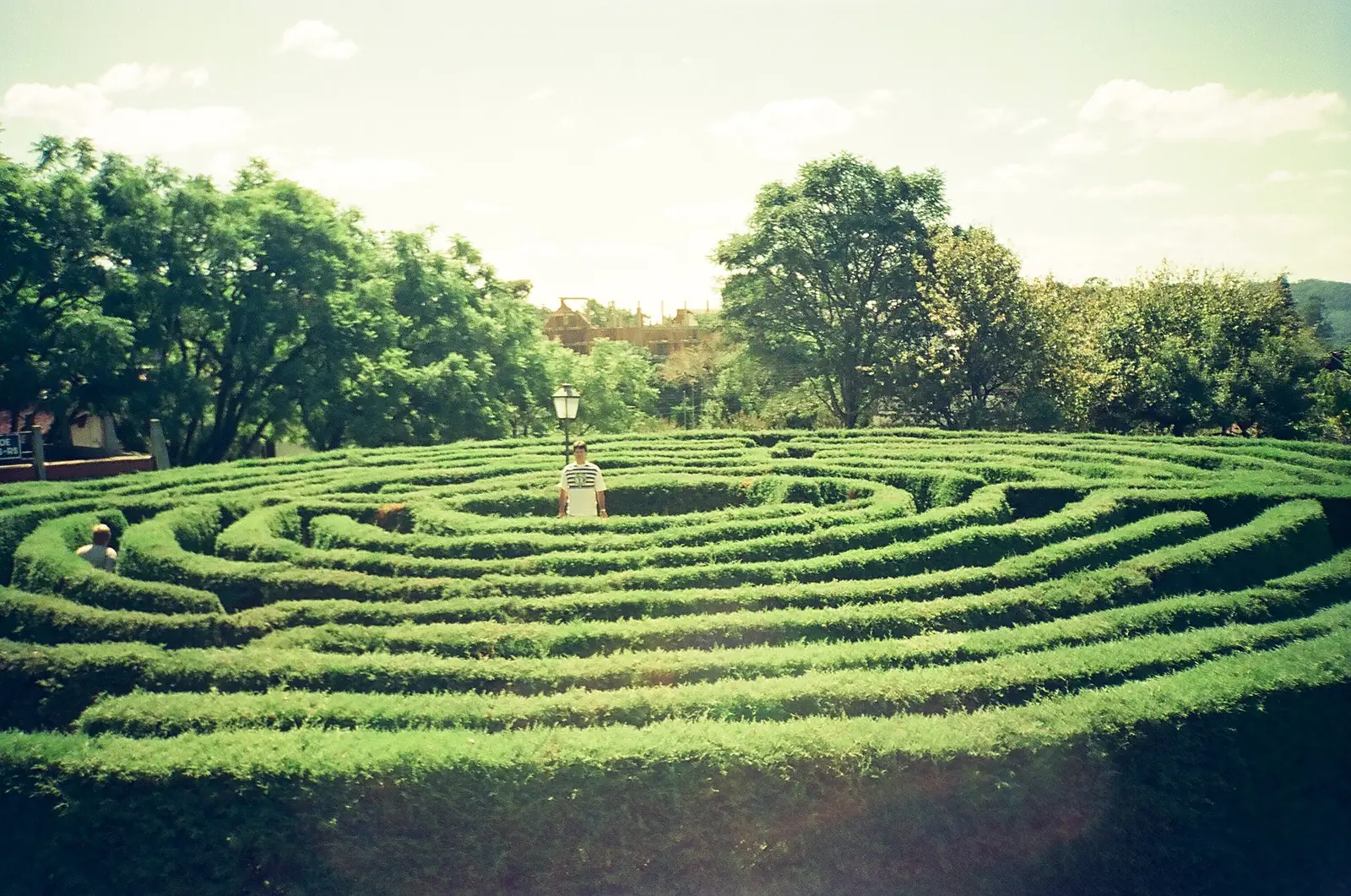O Labirinto Verde, de cercas vivas em círculos, visto de cima